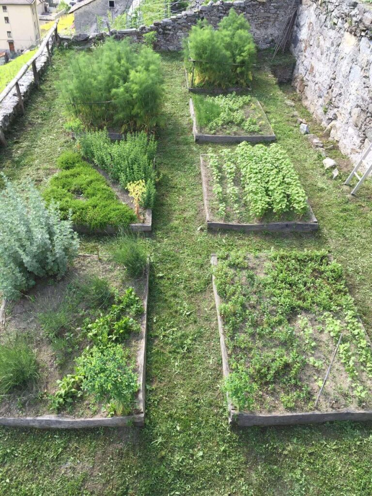 orti coltivati nella zona dell'antica Piuro - hortus conclusus